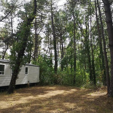 Le Ilo - Camping La Dune Blanche Camiers Zewnętrze zdjęcie